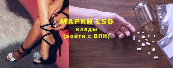 гашик Аркадак
