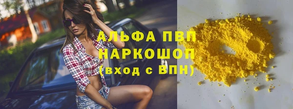 гашик Аркадак