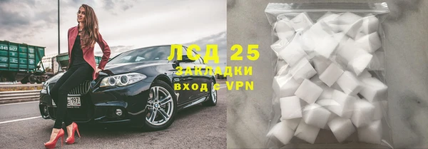 гашик Аркадак