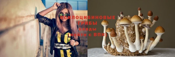 альфа пвп Няндома